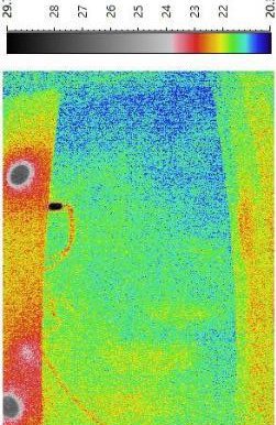 B. 紅外線探測圖像顯示有藍色低溫部位