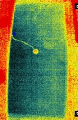 C. 紅外線探測圖像顯示有大範圍藍色低溫部位
